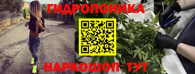 гашиш Апшеронск