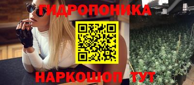 прущие грибы Балахна