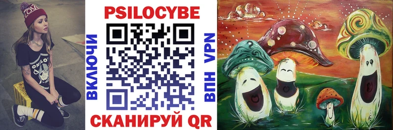 купить Батайск Псилоцибиновые грибы Cubensis