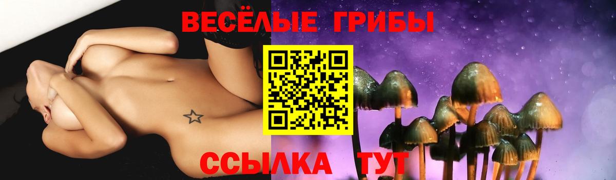 Галлюциногенные грибы MAGIC MUSHROOMS  Вход с VPN  Галлюциногенные грибы Magic Shrooms  Батайск 